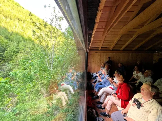 Group of visitors watching bears from inside a wooden hide in the Carpathian forest — Ibis Tours Romania