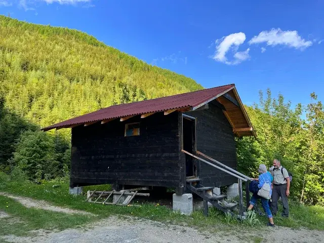Exterior view of the bear watching hide in summer — Romsilva-licensed hide, Carpathian Mountains Romania