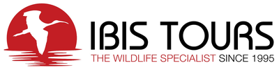 Ibis Tours — Wildlife holidays Romania