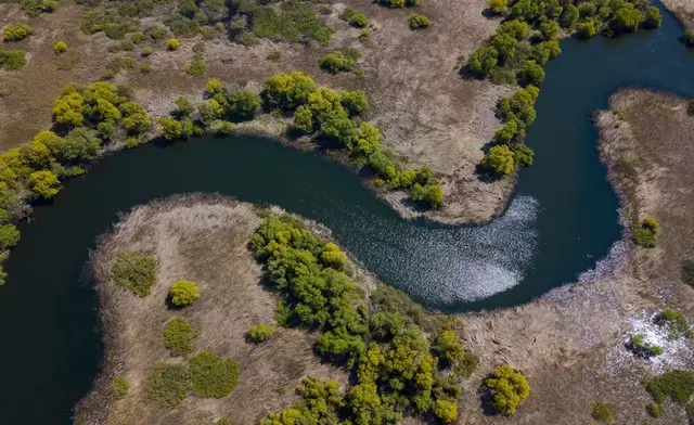 Danube Delta wildlife cruise — 4-day birdwatching itinerary