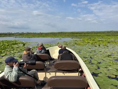 Birdwatchers on a slow boat gliding through water lilies in the Danube Delta